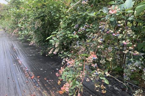 Photo of property in 70 Parore Street, Parore, Dargaville, 0372