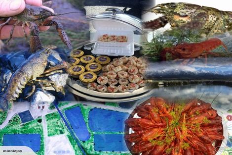 Photo of property in 90 Mill Road, Kaikoura Flat, Kaikoura, 7300