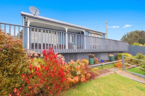 Photo of property in 36 Theodore Street, Bluff, 9814