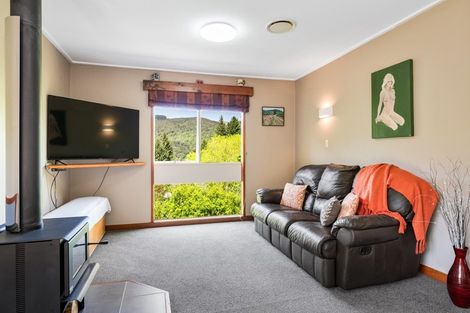 Photo of property in 41 Village Loop Road, Waipori Falls, Outram, 9073