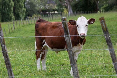 Photo of property in 238 Roberts Avenue, Aramoho, Whanganui, 4584