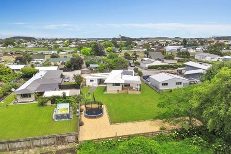 Photo of property in 41a Avenue Road, Foxton, 4814