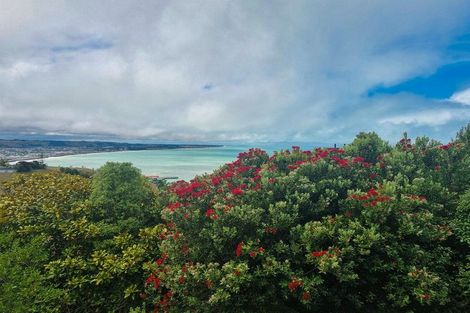 Photo of property in 26 Brinkburn Street, South Hill, Oamaru, 9400