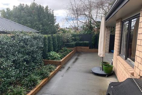 Photo of property in 60c Macfarlane Street, Hamilton East, Hamilton, 3216