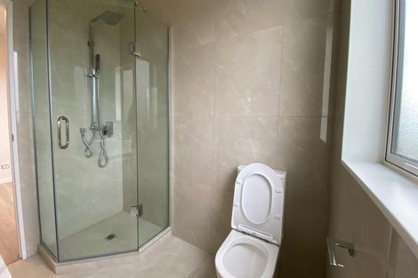 Photo of property in 48 Tir Conaill Avenue, Flat Bush, Auckland, 2019