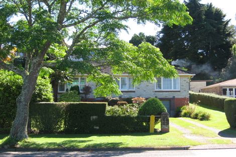 Photo of property in 105 Arapuni Street, Putaruru, 3411