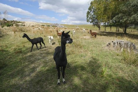 Photo of property in 10437 Route 52, Pongaroa, 4992