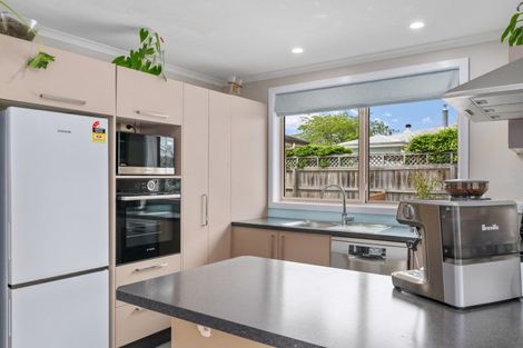 Photo of property in 5a North Street, Redwoodtown, Blenheim, 7201