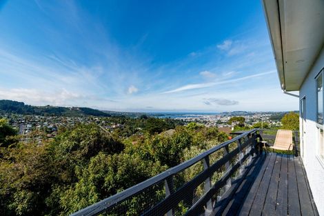 Photo of property in 54 Barclay Street, Liberton, Dunedin, 9010