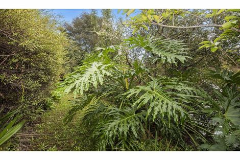 Photo of property in 56 Colville Road, Dargaville, 0310