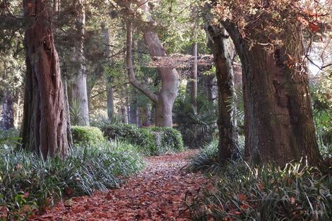 Photo of property in Ashfield, 410 Orari Station Road, Geraldine, 7992