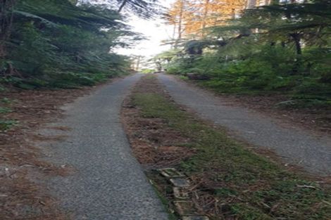 Photo of property in 1226a Pyes Pa Road, Pyes Pa, Tauranga, 3173