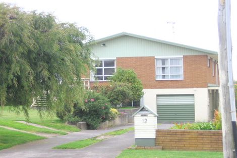 Photo of property in 12 Moa Street, Mount Maunganui, 3116