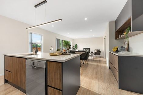 Photo of property in 74a Manawatu Street, Hokowhitu, Palmerston North, 4410