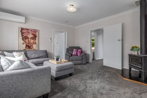 Photo of property in 69 Bartholomew Road, Levin, 5510