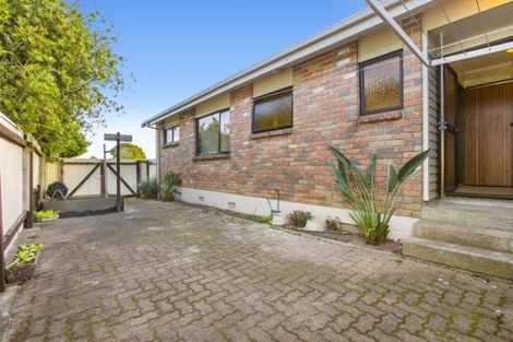 Photo of property in 18a Concord Avenue, Mount Maunganui, 3116