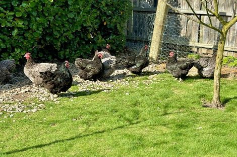 Photo of property in 29 Brook Street, Southbridge, 7602