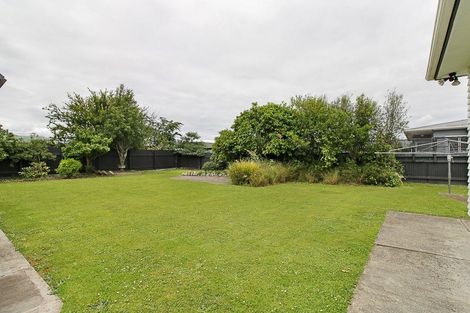 Photo of property in 60 Parker Avenue, Levin, 5510