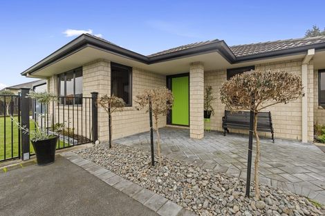Photo of property in 50 Matipo Street, Matamata, 3400