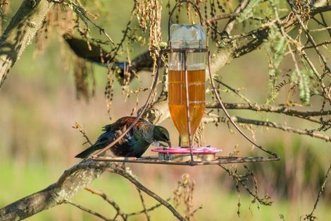 Photo of property in 208 Pomona Road, Ruby Bay, Upper Moutere, 7173