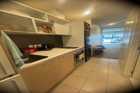 Photo of property in Luna Apartments, 3v/16 Burton Street, Grafton, Auckland, 1010