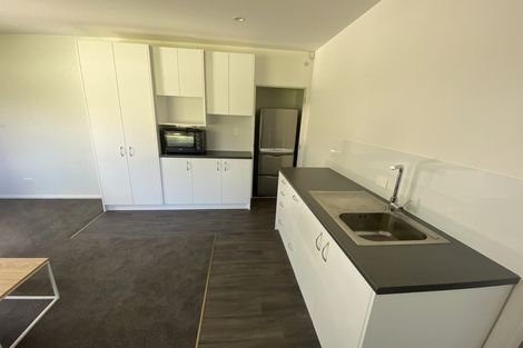 Photo of property in 314 Runciman Road, Ramarama, Pukekohe, 2677