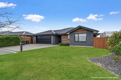Photo of property in 93 Sunline Avenue, Lincoln, 7608