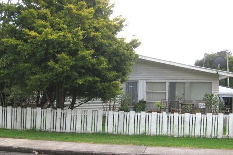 Photo of property in 51 Harrington Road, Henderson, Auckland, 0610