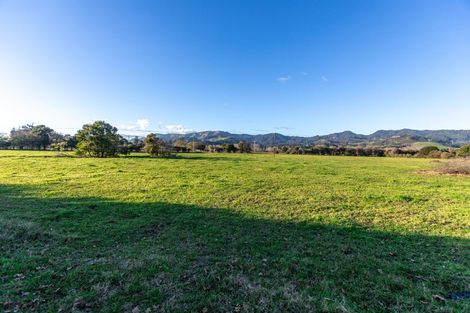 Photo of property in 181 Rotokohu Road, Paeroa, 3673