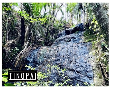 Photo of property in 1509 Tinopai Road, Tinopai, Matakohe, 0593