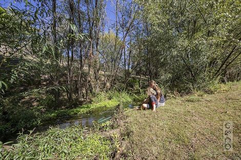 Photo of property in 231 Waitakere Road, Taupaki, Henderson, 0782