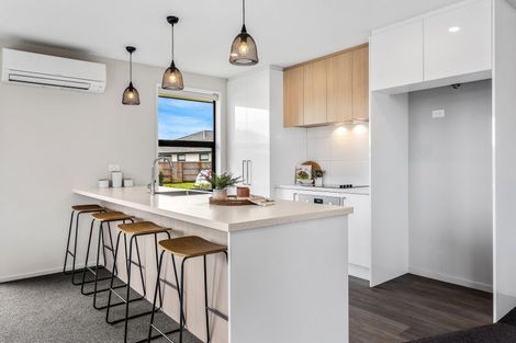 Photo of property in 35 Bonecrusher Street, Lincoln, 7608