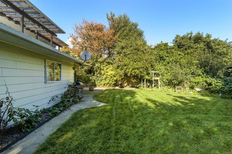 Photo of property in 175 Kingswood Road, Brookfield, Tauranga, 3110