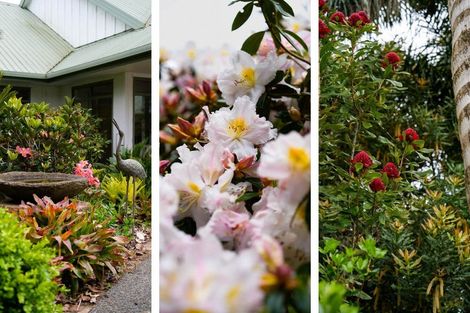 Photo of property in 40 Walden Lane, Minden, Tauranga, 3171