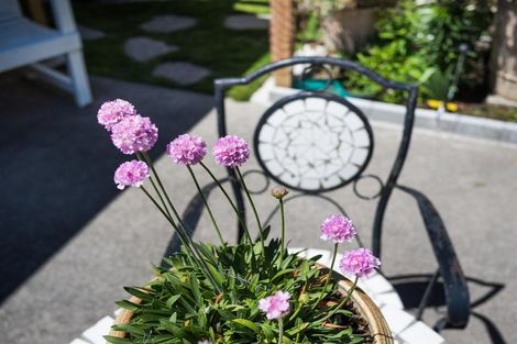 Photo of property in 153a High Street, Bulls, 4818