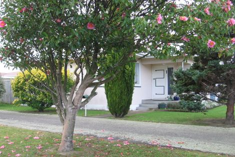 Photo of property in 221 Grey Street, Palmerston North, 4414