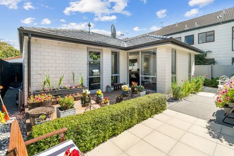 Photo of property in 3/11 Hillmorton Street, Hillmorton, Christchurch, 8024