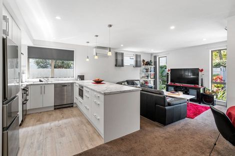 Photo of property in 3/11 Hillmorton Street, Hillmorton, Christchurch, 8024