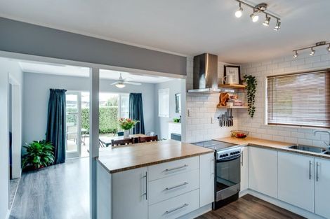 Photo of property in 221 Tudor Avenue, Mayfair, Hastings, 4122