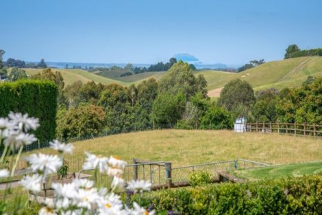 Photo of property in 69 Plummer Road, Whakamarama, Tauranga, 3179