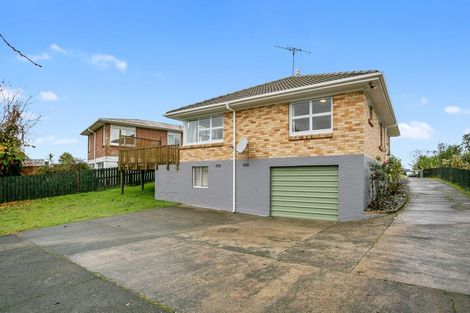 Photo of property in 135 Tirau Street, Putaruru, 3411