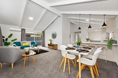 Photo of property in 102a Cook Street, Hamilton East, Hamilton, 3216