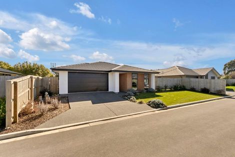 Photo of property in 170 Hendersons Road, Hoon Hay, Christchurch, 8025