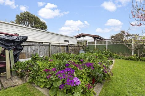 Photo of property in 212 Victoria Avenue, Hokowhitu, Palmerston North, 4410