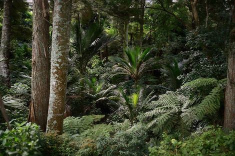 Photo of property in 10 Tui Glen Road, Birkenhead, Auckland, 0626