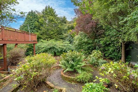 Photo of property in 11 Manchester Street, Bradford, Dunedin, 9011