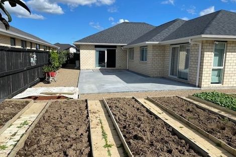 Photo of property in 27 Ruru Street, Cambridge, 3434