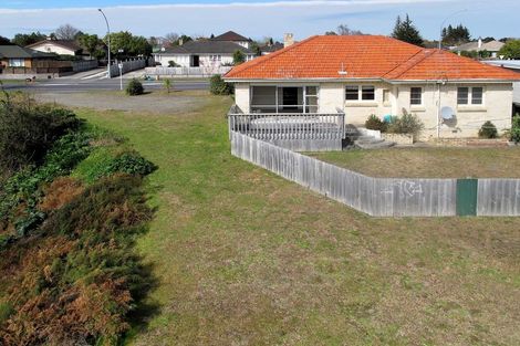 Photo of property in 141 Clarkin Road, Fairfield, Hamilton, 3214