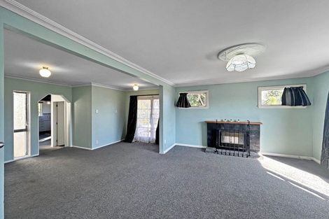 Photo of property in 16 Wood Street, Takaro, Palmerston North, 4410
