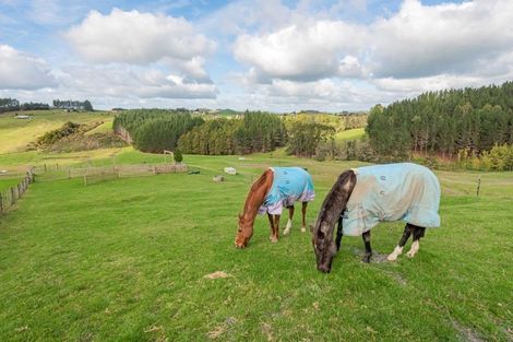 Photo of property in 101 Stunnell Road, Otaika, Whangarei, 0170